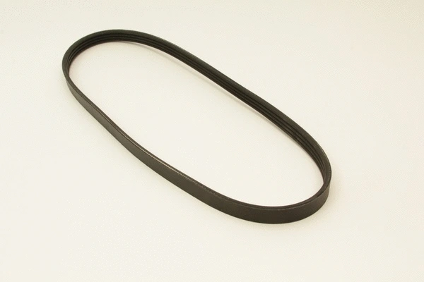 V-Ribbed Belt (4PK813)