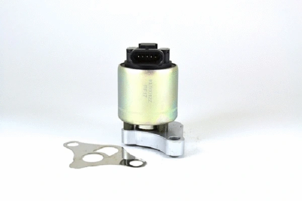 EGR Valve (50012z)