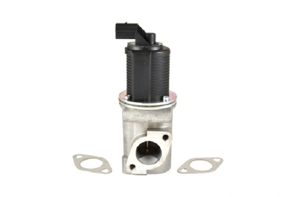 EGR Valve (50035z)