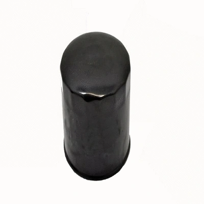 Oil Filter (FH004z)