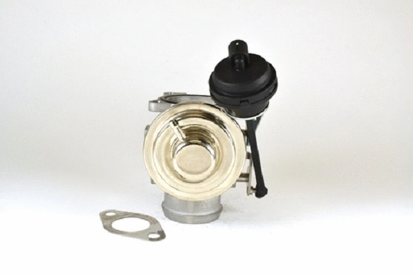 EGR Valve (50051z)