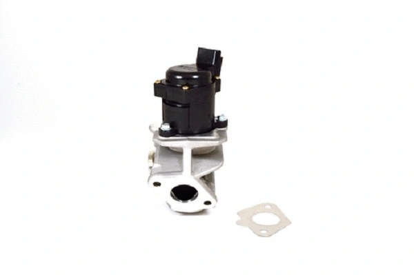EGR Valve (50006z)