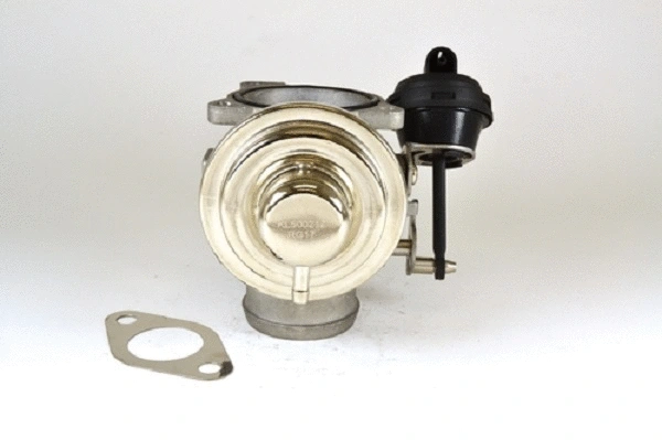 EGR Valve (50021z)