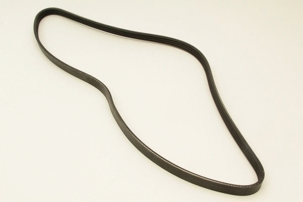 V-Ribbed Belt (4PK1125)