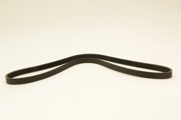 V-Ribbed Belt (5PK1255)