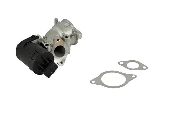 EGR Valve (50059z)