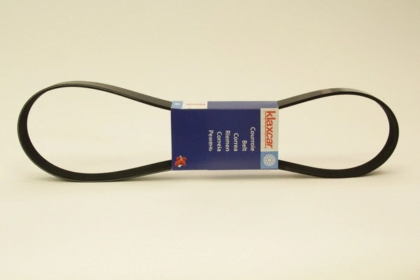 V-Ribbed Belt (7PK1125)