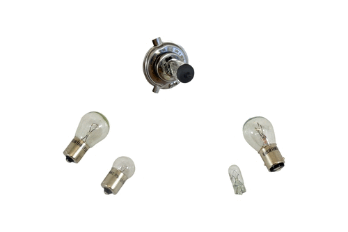 Bulbs Assortment (86373z)