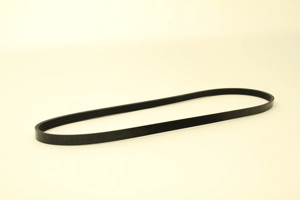 V-Ribbed Belt (4PK1100)