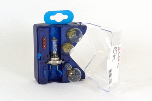 Bulbs Assortment (86379z)