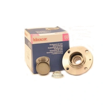 Wheel Bearing Kit (22113z)