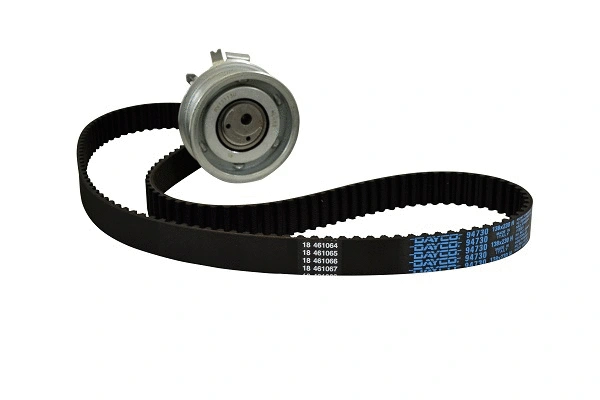 Timing Belt Kit (40041z)