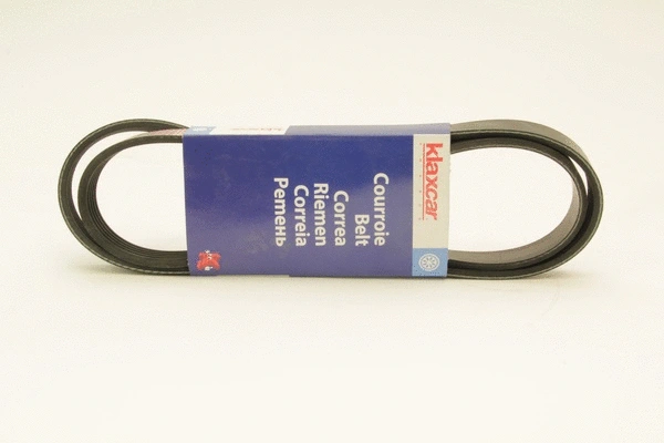 V-Ribbed Belt (5PK1300)