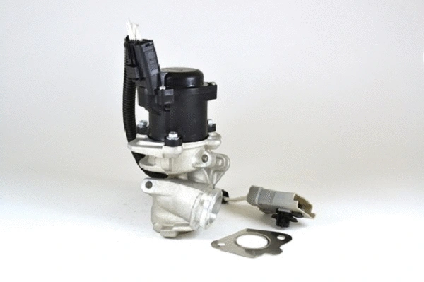 EGR Valve (50038z)