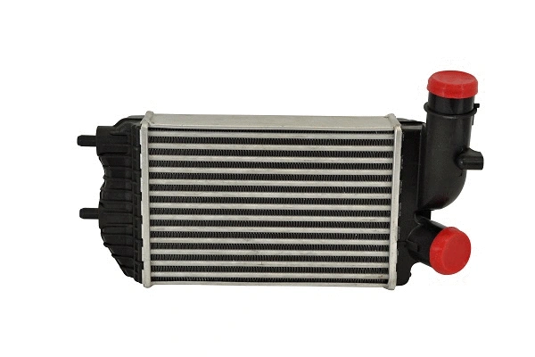 Charge Air Cooler (80088z)
