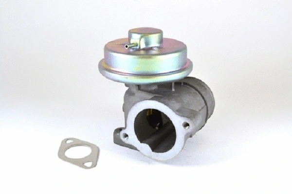 EGR Valve (50019z)