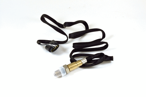 Lambda Sensor (49031z)
