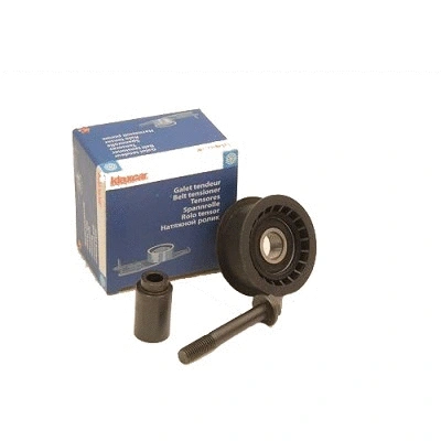 Deflection/Guide Pulley, timing belt (RX21120)
