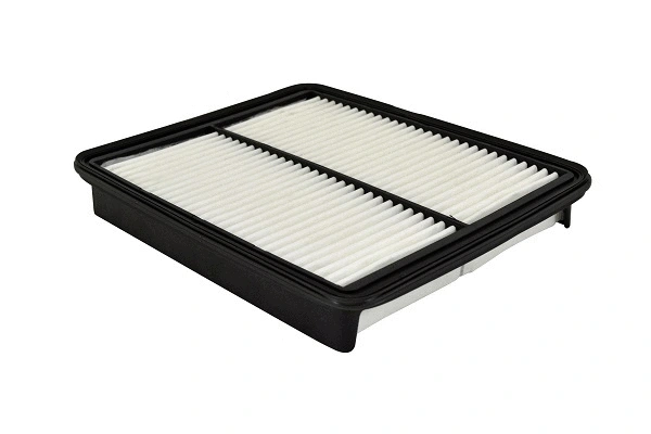 Air Filter (FA317z)