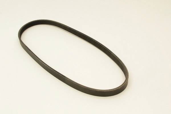 V-Ribbed Belt (4PK788)