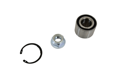 Wheel Bearing Kit (22002z)