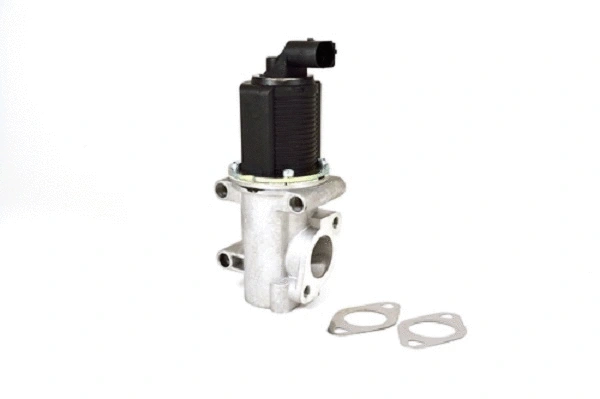 EGR Valve (50009z)