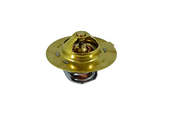 Thermostat, coolant (15262082z)