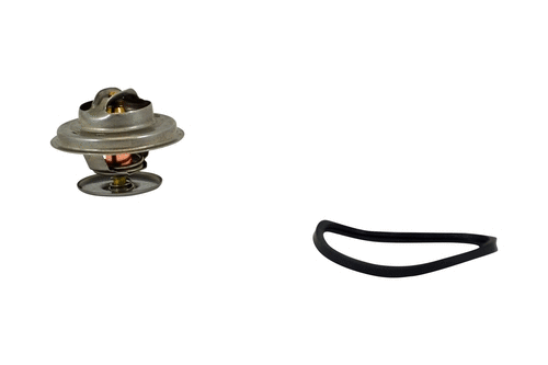 Thermostat, coolant (15151383z)