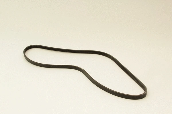 V-Ribbed Belt (4PK1263)