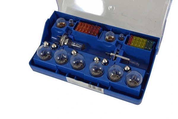 Bulbs Assortment (86371z)