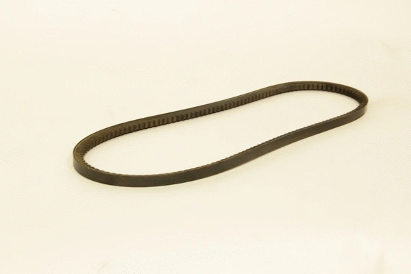V-Belt (60125s)