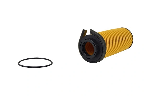 Fuel Filter (FE061z)