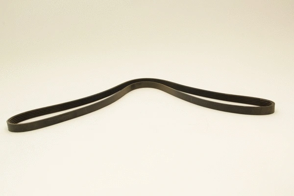 V-Ribbed Belt (5PK1690)