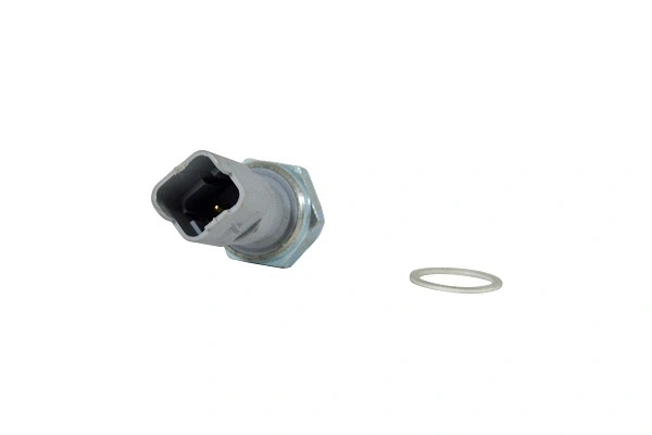 Oil Pressure Switch (161264z)