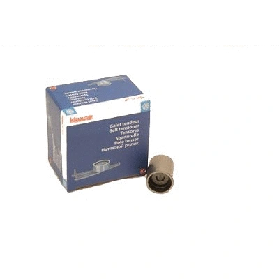 Deflection/Guide Pulley, timing belt (RX21142)