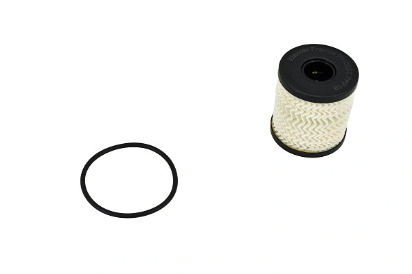 Oil Filter (FH022z)