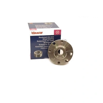 Wheel Bearing Kit (22029z)