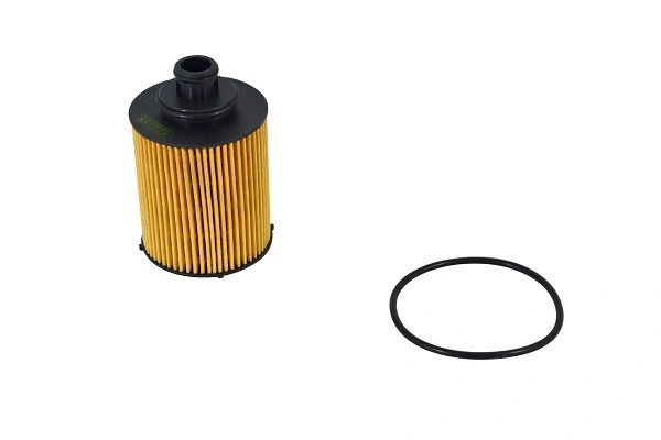 Oil Filter (FH019z)