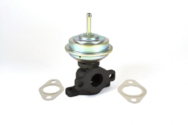 EGR Valve (50053z)