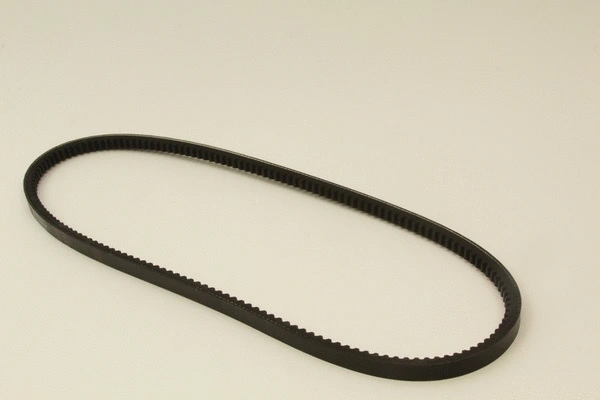 V-Belt (60313s)