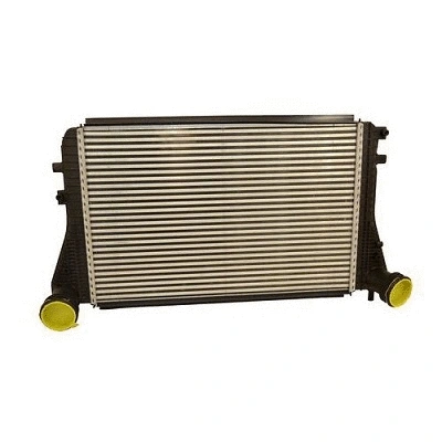 Charge Air Cooler (80099z)