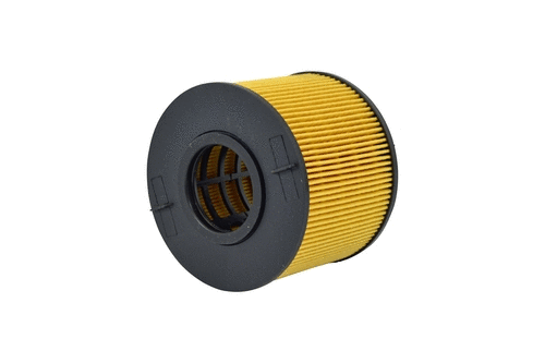 Fuel Filter (FE104z)