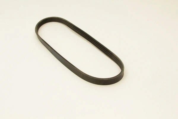 V-Ribbed Belt (4PK665)