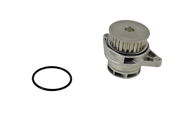 Water Pump, engine cooling (42052z)