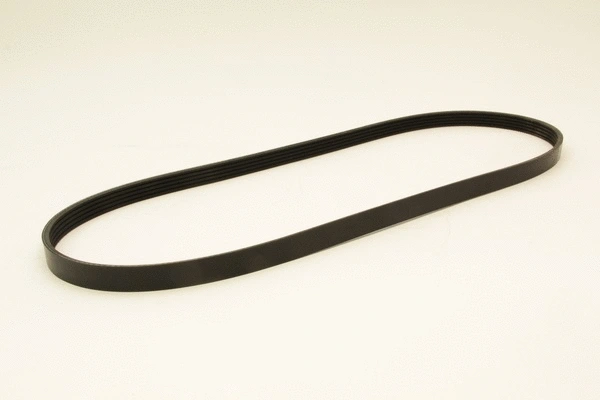 V-Ribbed Belt (5PK1225)