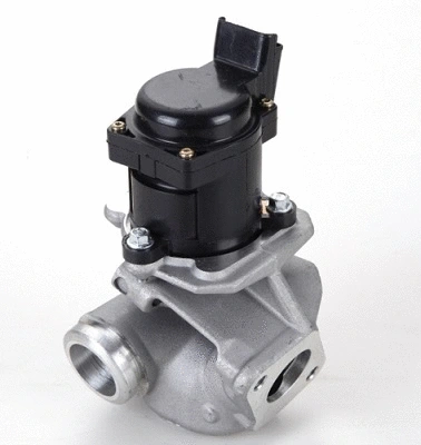 EGR Valve (50003z)