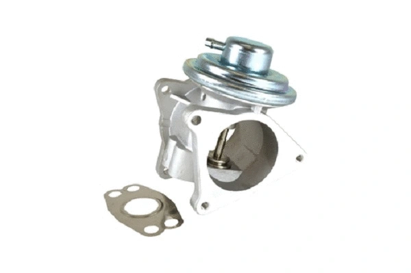 EGR Valve (50023z)