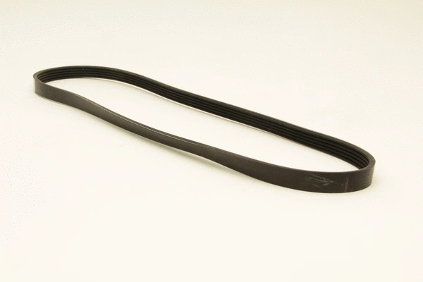 V-Ribbed Belt (5PK1100)