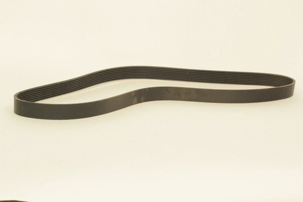 V-Ribbed Belt (8PK1376)
