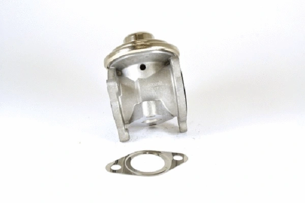 EGR Valve (50029z)